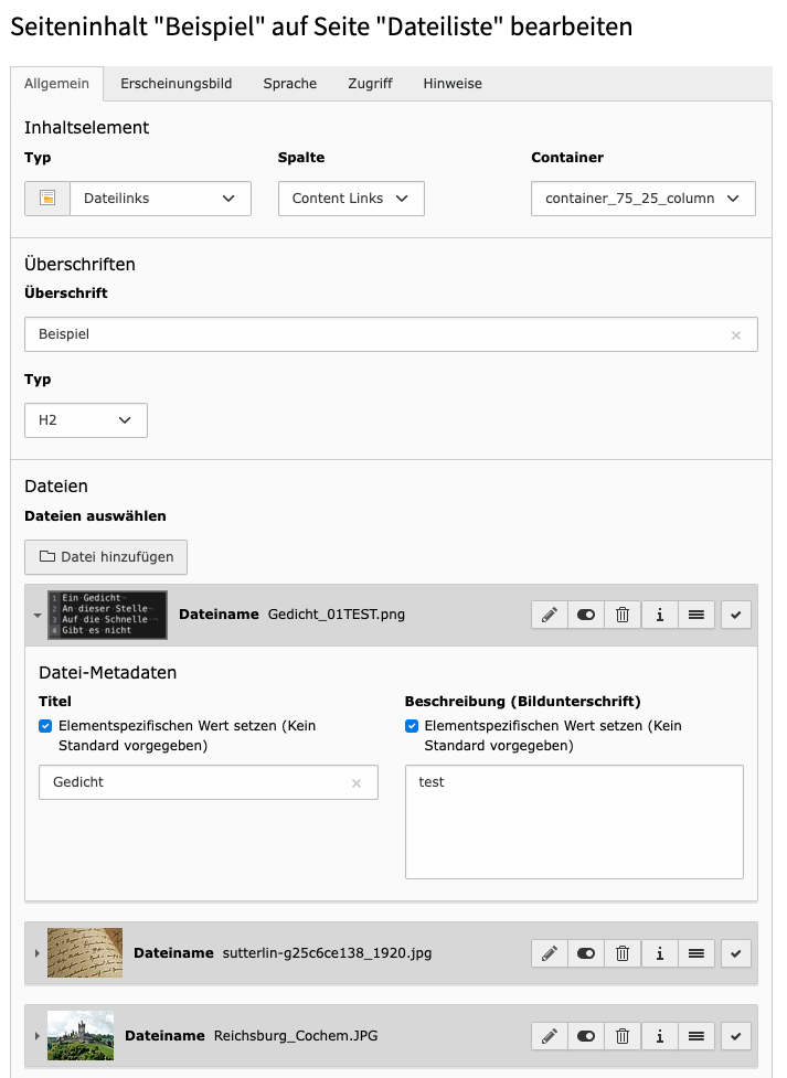 Eingabemaske zum Erstellen von Dateilisten im Typo3-Backend